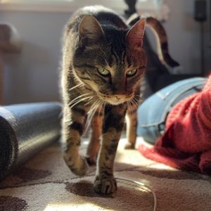 Meet your Posher, Shelly